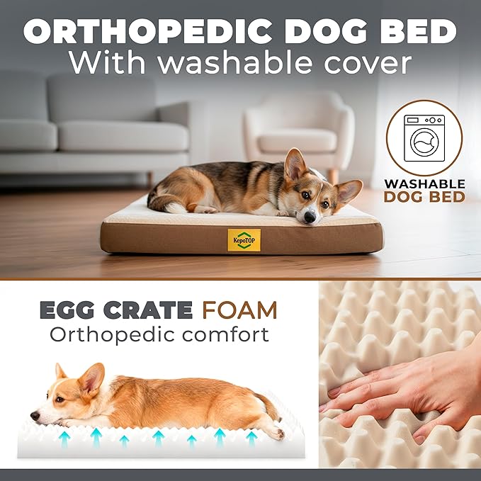 Puppy Pad Holder | Washable Dog Bed | Dog Potty Training | Puppy Potty Training | Indoor Pee Pad Station | Waterproof Washable Bed for Dogs with Pad Holder