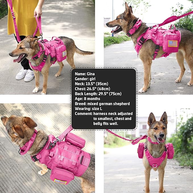 Forestpaw Pink Tactical Dog Harness for Large Dogs,Tactical Dog Collar with Bungee Leash Set,No Pull Military Dog Harness for Walking Training,Adjustable for Medium Large Dogs,Chest 21.5-45"