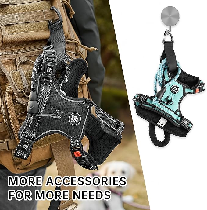 NESTROAD No Pull Dog Harness,Adjustable Oxford Dog Vest Harness with Leash,Reflective No-Choke Pet Harness with Easy Control Soft Handle for Medium Dogs(Medium,Turquoise)