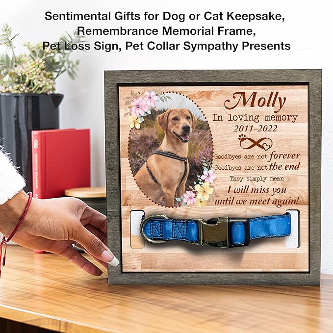 Customized Dog Collar Frame Memorial Pet Loss Sign - Best Dog Ever Gifts from Daughter Son Sympathy Gifts Pawprints Pet Decorations Hanging Wall Art Decor - Natural Memory Desk