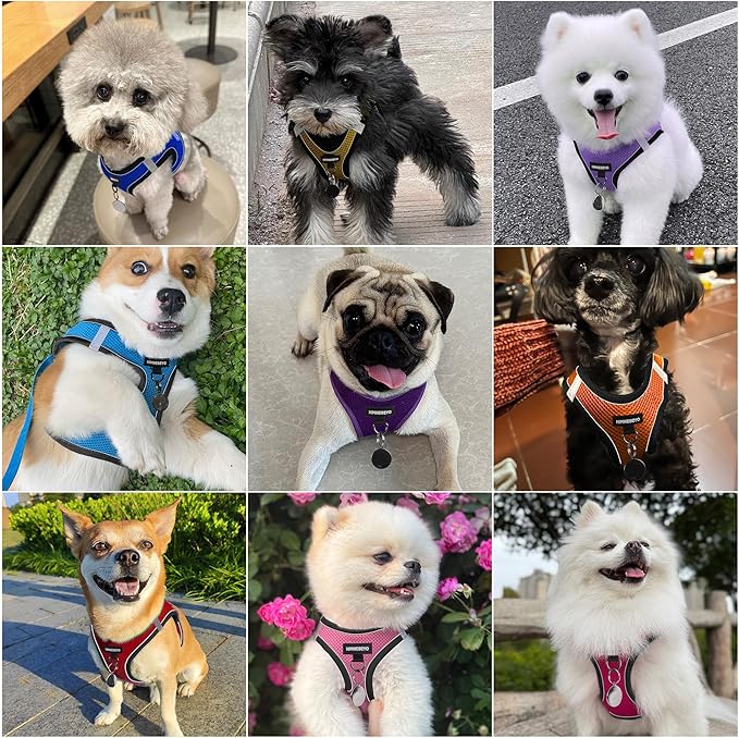 Dog Harness and Leash Set, Dog Harness for Dogs No Pull, No-Chock Step-in Reflective Breathable Lightweight Easy Walk Vest Harnesses with Safety Buckle for Small Medium Dogs, Cats (Yellow, S)