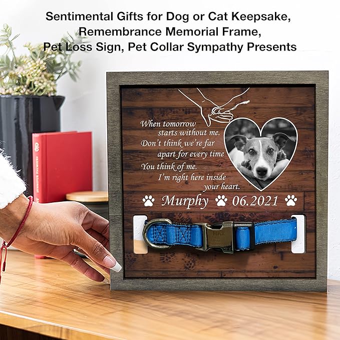 Customized Dog Collar Memorial Picture Frame Wooden Bereavement Gift Sympathy Home Wall Art Decoration Pet Loss Sign Personalized Memorial Cat Dog Frames Deceased Pet In Loving Memory Keepsake