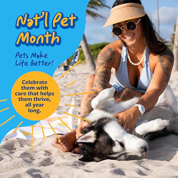 Veterinary Formula Senior Support Joint Supplement for Dogs - Soft Chews, 100ct - Support Healthy Joints, Skin, Gut, and Immunity with Glucosamine for Dogs