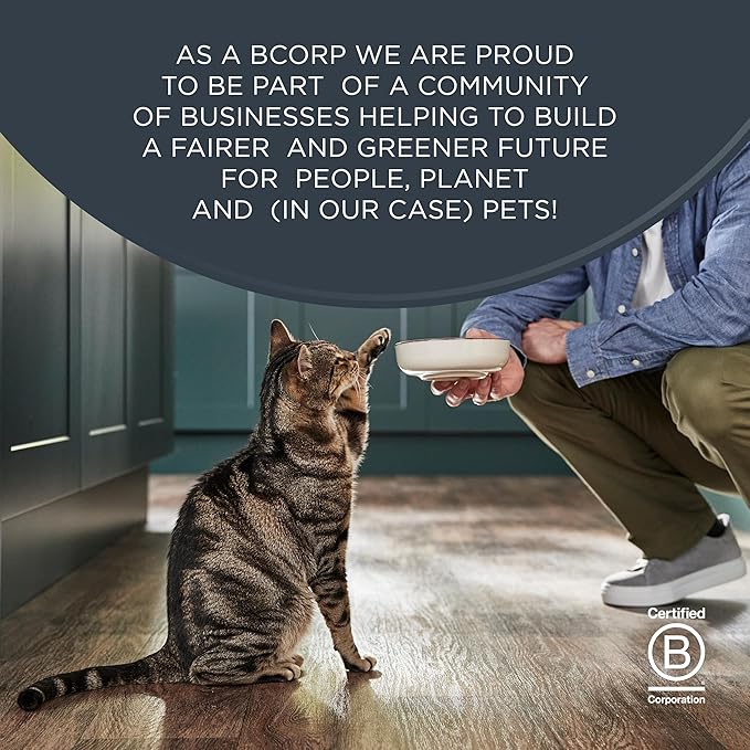 Reveal Natural Freeze-Dried Cat Treats, Single Ingredient, Grain Free, High Protein, Perfect for Training, Treating or Snacking, Tuna Fillet Bites (8 x 0.88 oz Bags)