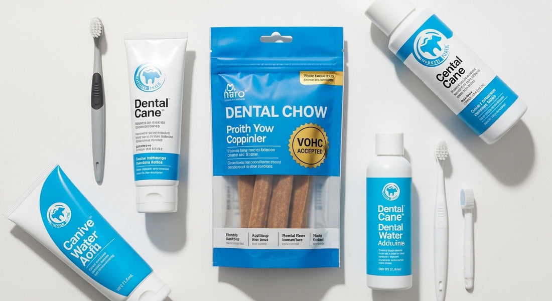 Dog Dental Care 101: Why Oral Hygiene Matters More Than You Think