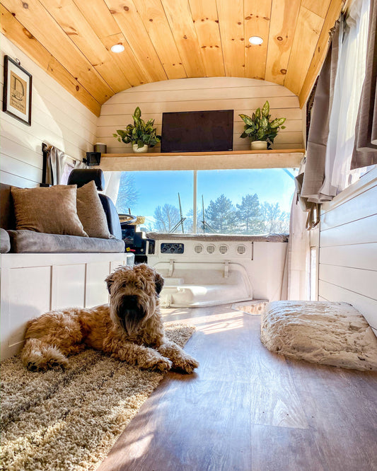 Understanding Your Dog’s Body Language: Signs of Love, Stress, and Playfulness