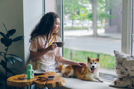 Healthy Treats Your Dog Will Love (and Why They’re Good for Them)