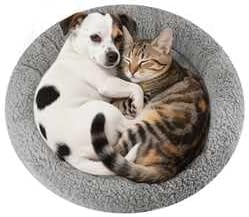 NAMSAN Round Cat Beds for Indoor Cats, 19.5 x 19.5 x 2 inch, Self Warm Pet Bed Pad with Pillow Around, Plush Cushion for Small Medium Dogs Large Cats, Antiskid Bottom, Grey
