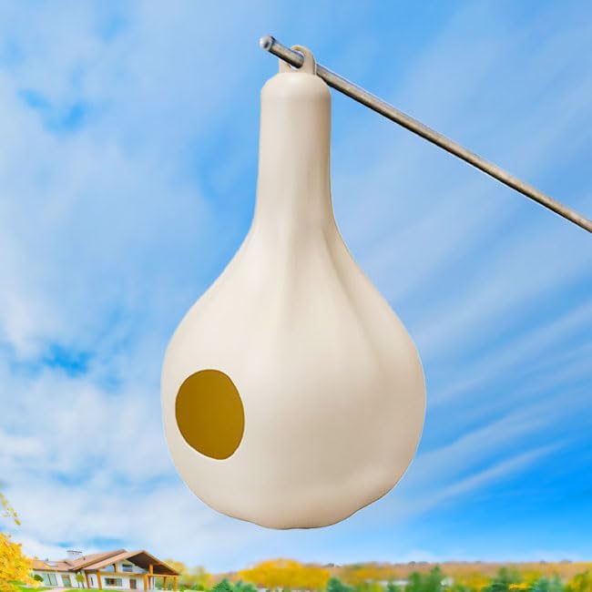 Wild Bird Lover's Single Purple Martin Gourds, Pack of 8