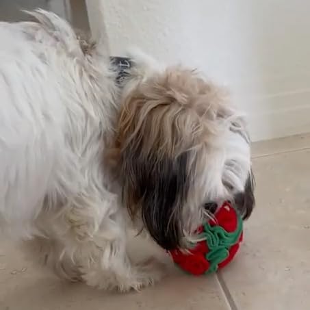 Puppy and Small Breed Snuffle Interactive Foraging Dog Puzzle Ball Toy Christmas Green and Red