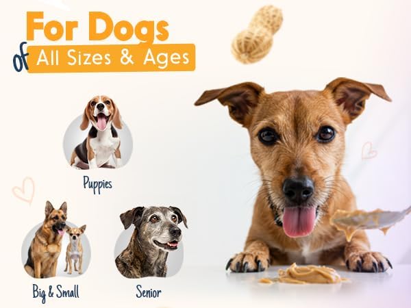 BUDDY BUDDER Beef Broth, 100% Natural Dog Peanut Butter, Peanut Butter Treat, Made in USA (17oz)