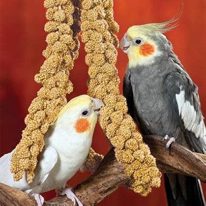 Nemeth Farms–Natural Sun Dried Millet Spray for Pet Birds–Bulk Parrot Seed Treats and Parrot Food–Natural Non GMO Millet Spray–Cockatiels Lovebirds Parakeet 2 lbs.