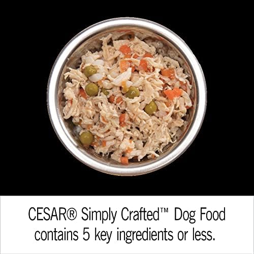 Cesar Simply Crafted Adult Wet Dog Food Meal Topper, Variety Pack, 1.3 oz Tubs (24 Count, Pack of 1)