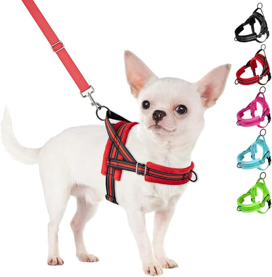 SlowTon No Pull Small Dog Harness and Leash Set, Puppy Soft Vest Harness Neck & Chest Adjustable, Reflective Lightweight Harness & Anti-Twist Pet Lead Combo for Small Medium Dogs (R-Front Clip,XXS)