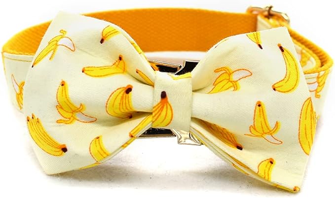 Custom Dog Collar with Names and Phone Number Engraved, Puppy Tags Personalized for Small Medium Large Pets