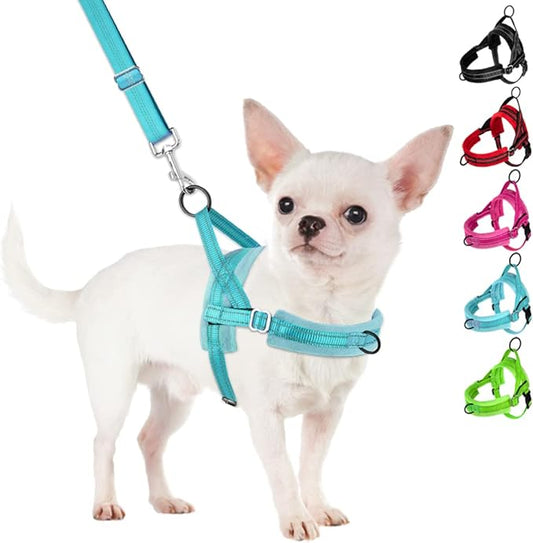 SlowTon No Pull Small Dog Harness and Leash Set, Puppy Soft Vest Harness Neck & Chest Adjustable, Reflective Lightweight Harness & Anti-Twist Pet Lead Combo for Small Medium Dogs (BL-Front Clip,XS)