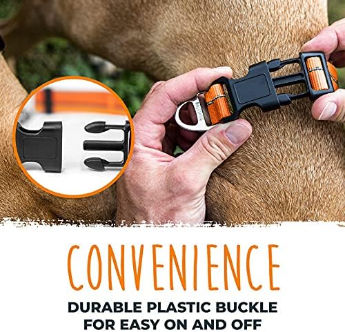 Mighty Paw Martingale Dog Collar 2.0 | Trainer Approved Limited Slip Collar with Stainless Steel Chain & Heavy Duty Buckle - Modified Cinch for Gentle & Effective Pet Training - Medium, Orange