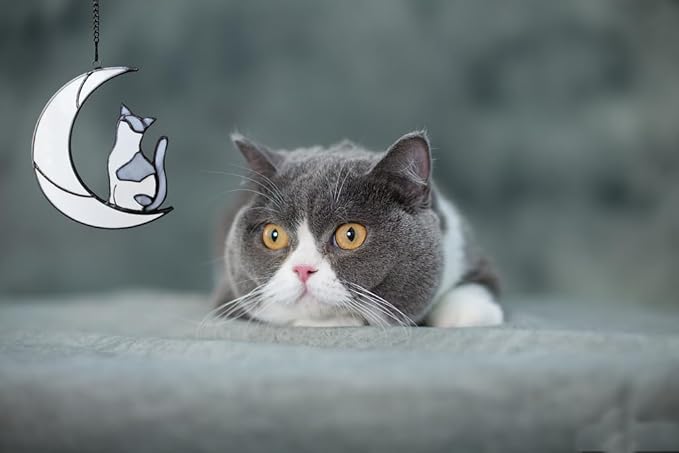 Handmade Gray and White Cat Memorial Suncatcher - British Shorthair Stained Glass Sympathy Gift for Cat Lovers, Loss of Cat, Home Decor, Unique Pet Memorial Art