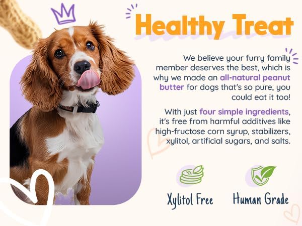 BUDDY BUDDER Beef Broth, 100% Natural Dog Peanut Butter, Peanut Butter Treat, Made in USA (17oz)