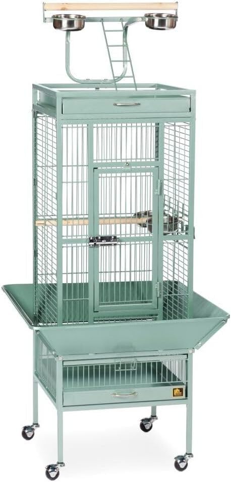 Retro Renaissance Iron Select Bird Cage with Elegant Design, Durable Construction, Easy-Clean Tray Sage Green