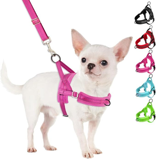 SlowTon No Pull Small Dog Harness and Leash Set, Puppy Soft Vest Harness Neck & Chest Adjustable, Reflective Lightweight Harness & Anti-Twist Pet Lead Combo for Small Medium Dogs (Fuchsia, XS)