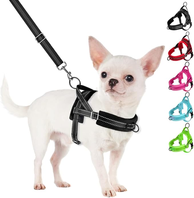 SlowTon No Pull Small Dog Harness and Leash Set, Puppy Soft Vest Harness Neck & Chest Adjustable, Reflective Lightweight Harness & Anti-Twist Pet Lead Combo for Small Medium Dogs (Black, S)