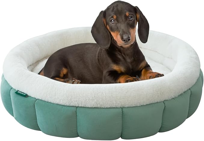 BALANCE Cat Beds for Indoor Cats, Washable Round Dog Bed, Donut Dog Bed with Anti-Slip Bottom for Small Dogs, 28 Inches, Granite Green
