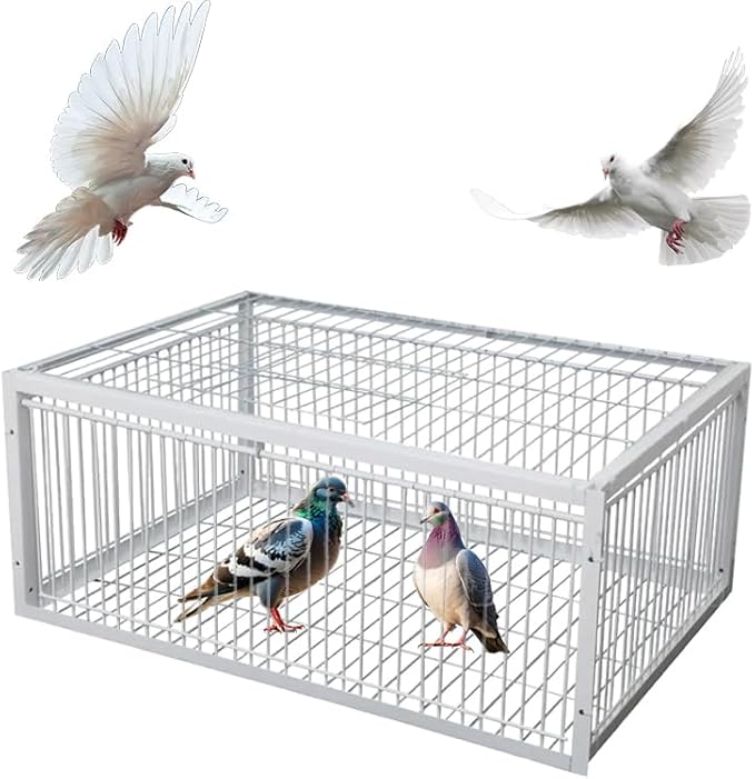 Pigeon Trap Cage with Escape-Proof Design Chicken Trap Bird Cage with One Way Entrance for Sparrows Quails Bird Chick and Duckling (15.75”L x 11.8” W x 10.24” H)