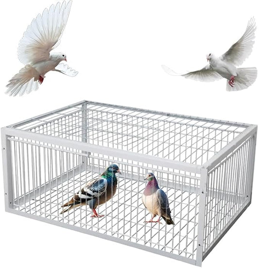 Pigeon Trap Cage with Escape-Proof Design Chicken Trap Bird Cage with One Way Entrance for Sparrows Quails Bird Chick and Duckling (15.75”L x 11.8” W x 10.24” H)