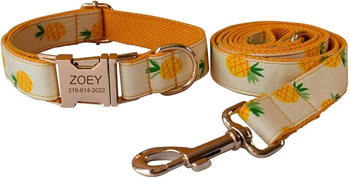 Custom Dog Collar with Names and Phone Number Engraved, Puppy Tags Personalized for Small Medium Large Pets