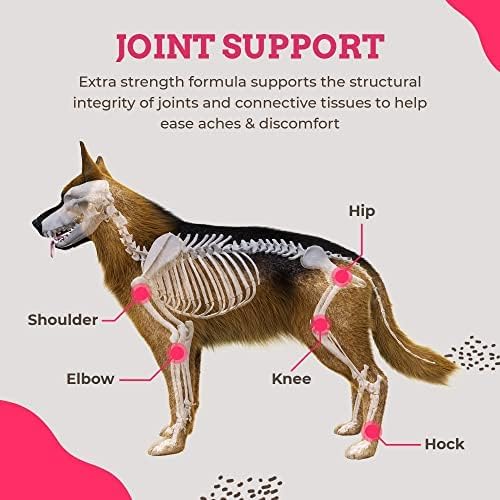 Paws & Pals Glucosamine Chondroitin MSM for dogs 240 Count, Hip and Joint Mobility Soft Chews Supplement, Pain & Inflammation Relief for all breeds - Maximum Strength, Treats Hip Dysplasia & Arthritis