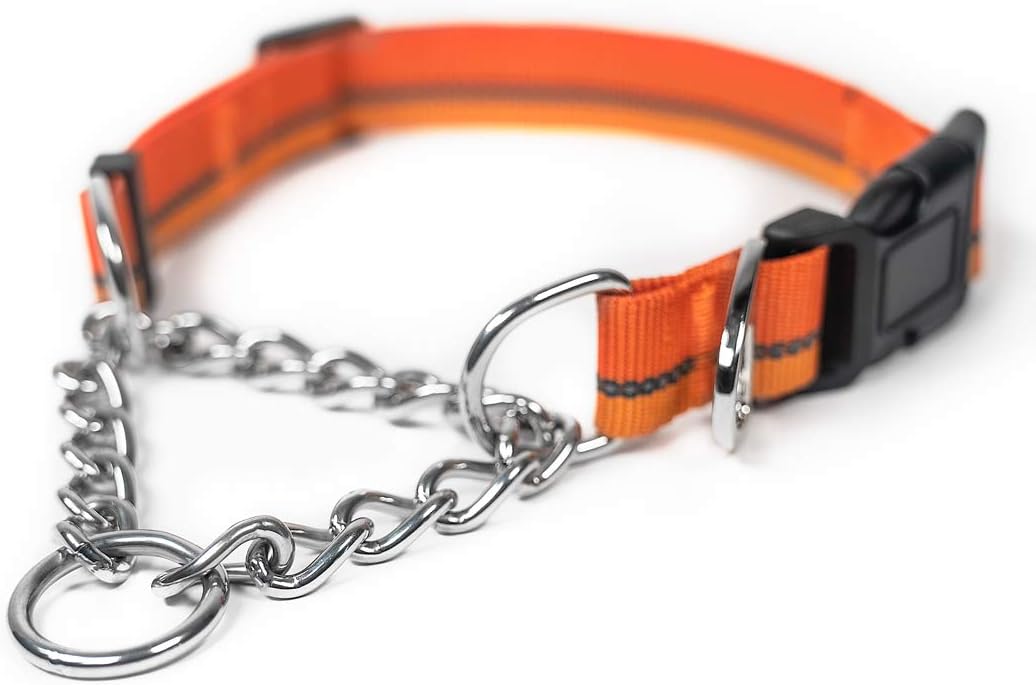 Mighty Paw Martingale Dog Collar 2.0 | Trainer Approved Limited Slip Collar with Stainless Steel Chain & Heavy Duty Buckle - Modified Cinch for Gentle & Effective Pet Training - Medium, Orange