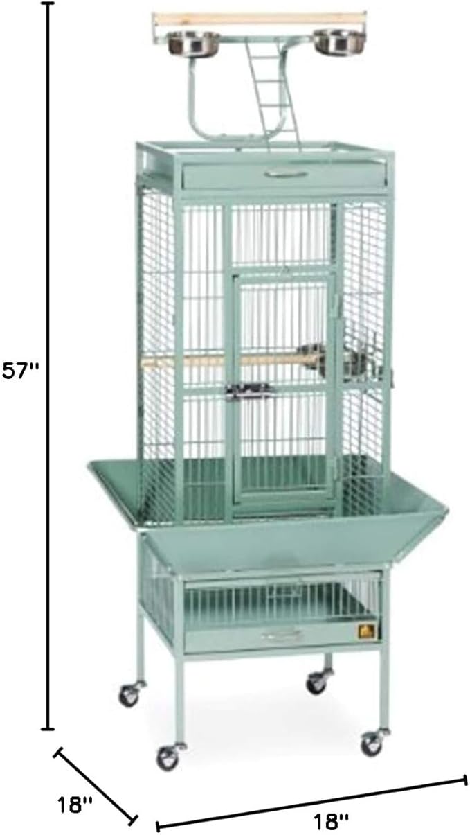 Retro Renaissance Iron Select Bird Cage with Elegant Design, Durable Construction, Easy-Clean Tray Sage Green