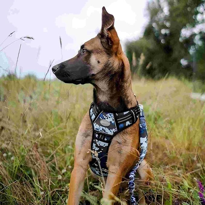 Auroth Tactical Dog Training Harness No Pulling Front Clip Leash Adhesion Reflective K9 Pet Working Vest Easy Control for Small Medium Large Dogs Blue Camo M