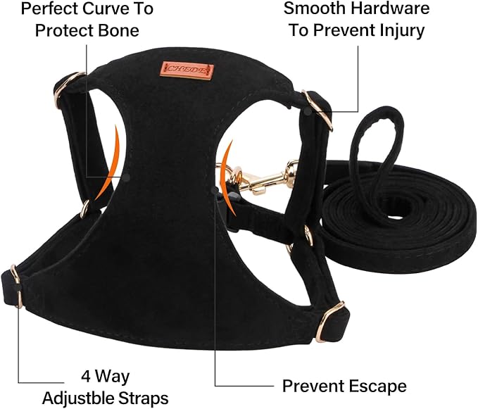 No Pull Dog Harness- Lightweight, Soft, Adjustable Small Harness Collar and Leash Set, Suitable for Cats Puppy Small and Medium-Sized Dog Outdoor Training and Running (Black, M)