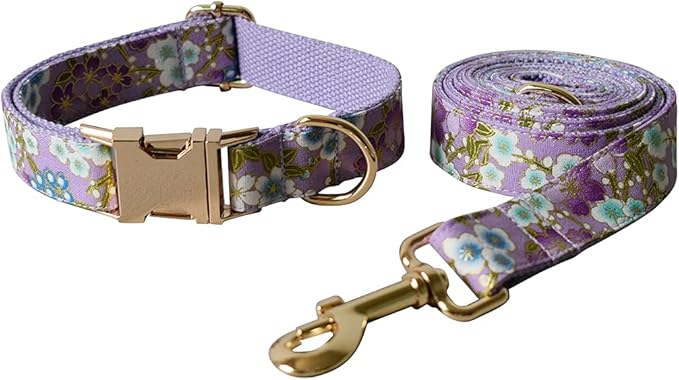 Custom Dog Collar with Names and Phone Number Engraved, Puppy Tags Personalized for Small Medium Large Pets