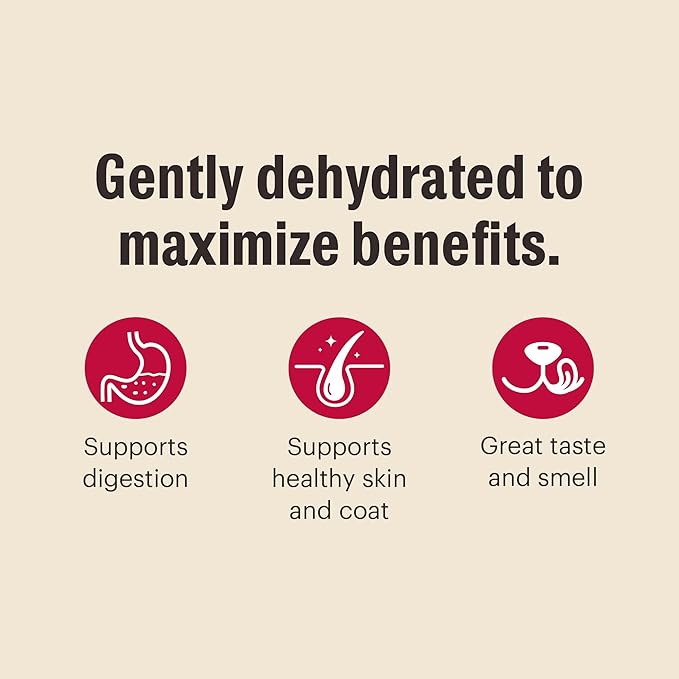 The Honest Kitchen Wholemade™ Grain Free Fruit & Veggie Base Mix Dog Food (Just Add Protein), 3 lb Box