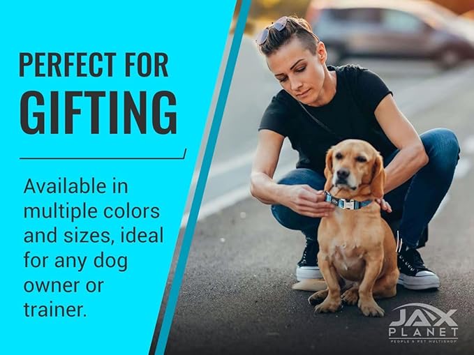 Blue Martingale Collar for Dogs - Heavy Duty Nylon Pet Collars for Escape-Free, No Pull Training & Walking with Alloy Metal Release Buckle & Reflective D Ring, One Time Adjustment, Safe & Secure, L