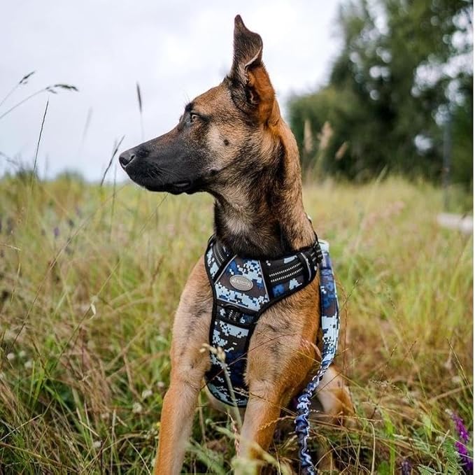 Auroth Tactical Dog Training Harness No Pulling Front Clip Leash Adhesion Reflective K9 Pet Working Vest Easy Control for Small Medium Large Dogs Blue Camo XL