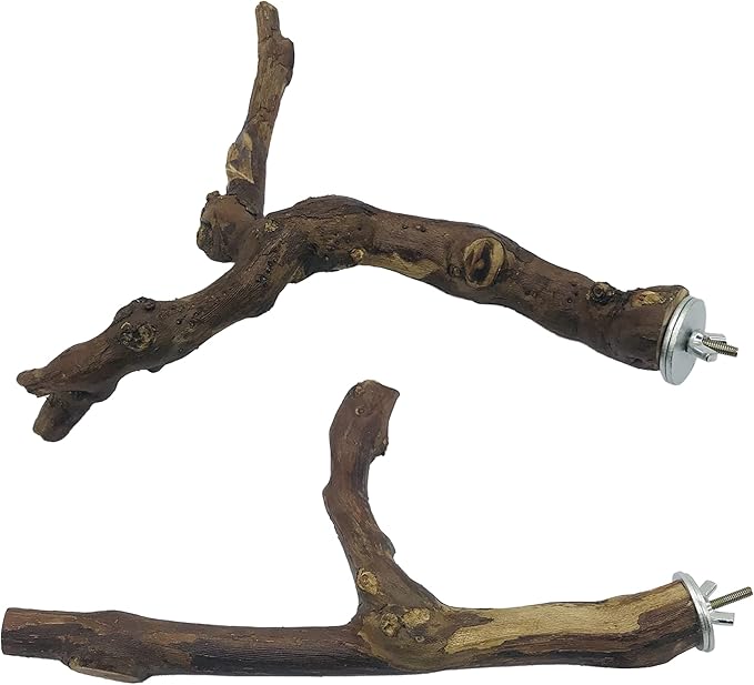 Allazone 2 PCS Natural Grape Stick Fork Bird Perch Bird Standing Stick Chewing Bird Toys Natural Grapevine Bird Cage Perch for Parrot Cages Toy for Cockatiels, Parakeets, Finches