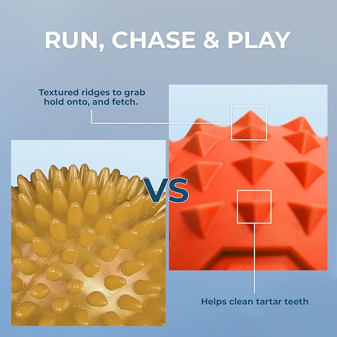 Best Pet Supplies Tough Dog Toys for Aggressive Chewers - Squeaky Dog Toys, Non-Toxic Spiky Ball for Dental Health, Interactive Toy, Pack of 4, Fuschia, Green, Blue, Orange (M:2.5")