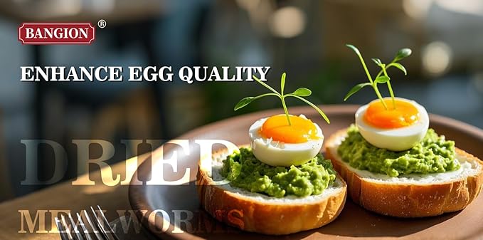 Dried Mealworms 10 Lbs-Organic MealWorms for Chickens & Birds, Non-GMO Meal Worms for Chickens, Wild Birds, Bluebirds, High Protein Chicken Feed Bird Treats, Worms for Chicken, Hens, Bird, Reptiles