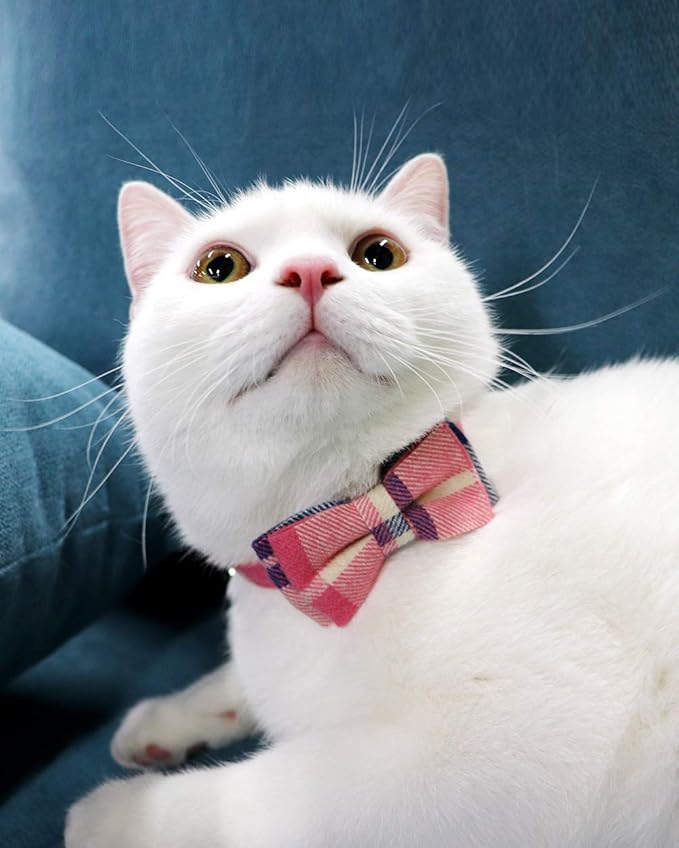 Joytale Upgraded Cat Collar with Bells, Breakaway Cat Collars with Bow Tie, 1 Pack Girl Boy Safety Plaid Kitten Collars, Pink