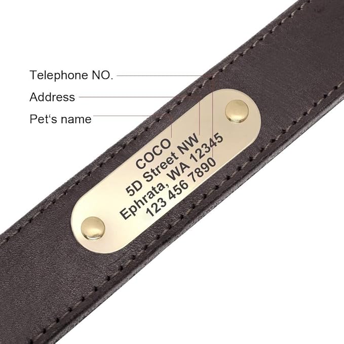 Didog Genuine Leather Dog Collars with Engraved Nameplate, Personalized Soft Leather Dog Collar with Custom ID Tag, Brown/Green/Red for Medium Large Dogs (XXL,Brown)