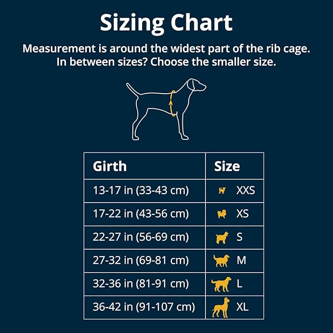 Ruffwear, Float Coat Dog Life Jacket, Premium Buoyancy Swim Vest with Lift Handle, Secure Fit & Reflective Trim, Adjustable Flotation for Swimming, Boating, & Outdoor Adventures, Deep Blue, Large
