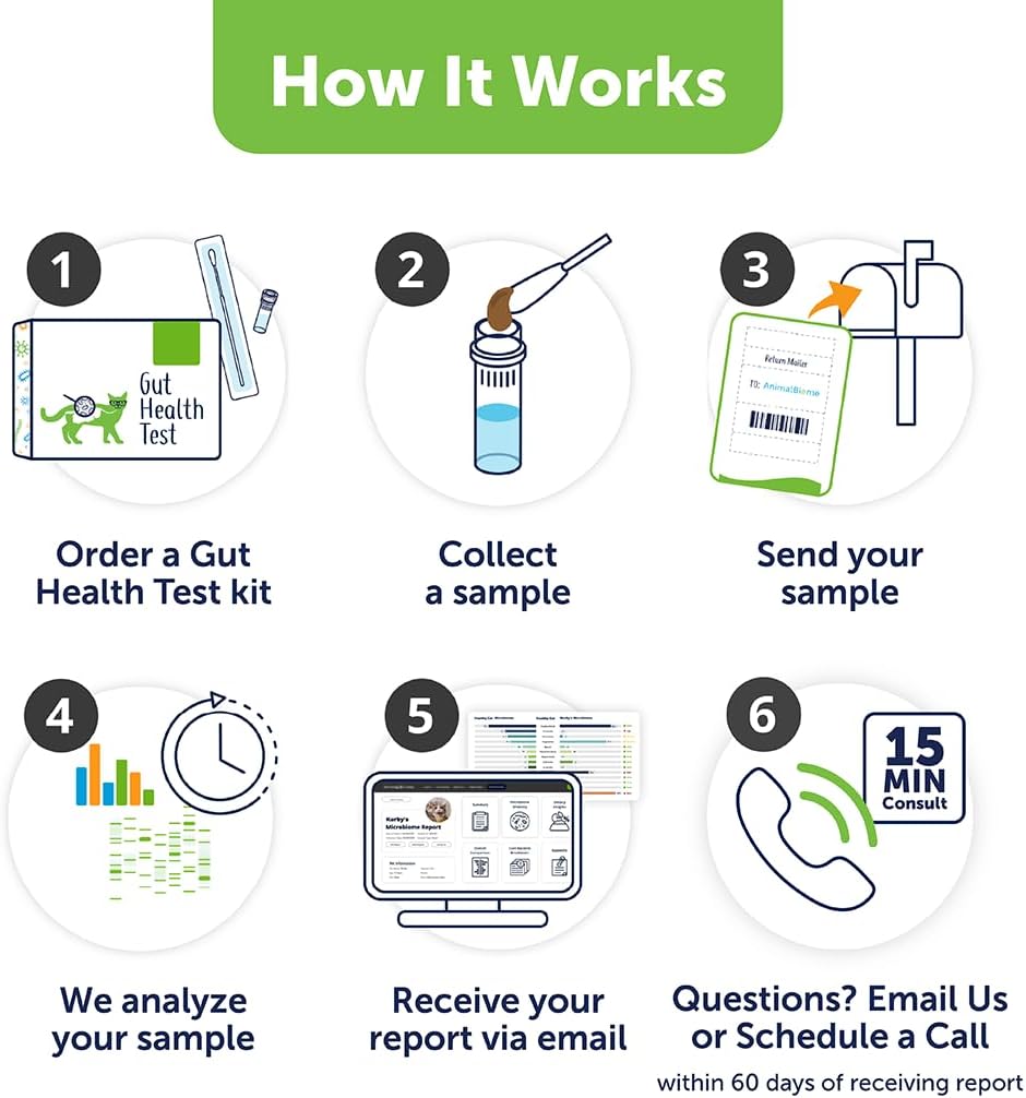 AnimalBiome Cat Probiotics Test Kit - Gut Microbiome Health Test - KittyBiome (Cats Within The US)