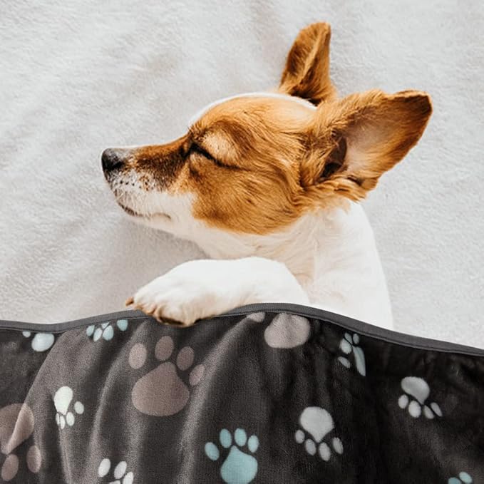 Rezutan Dog Blankets for Medium Dogs, Upgraded 3 Pack Dog Cat Blanket Washable, Soft Pet Mat Throw Cover Suitable for Kennel Crate Bed, Cute Paw Pattern, 30"x20", Grey