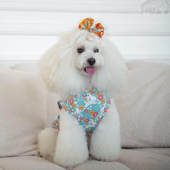 CuteBone Dog Shirts 2-Pack St.Patrick's Day & Easter Soft Pet Clothes Breathable Summer Vest for Small Puppy and Stretchy Cat Apparel 2BX12L