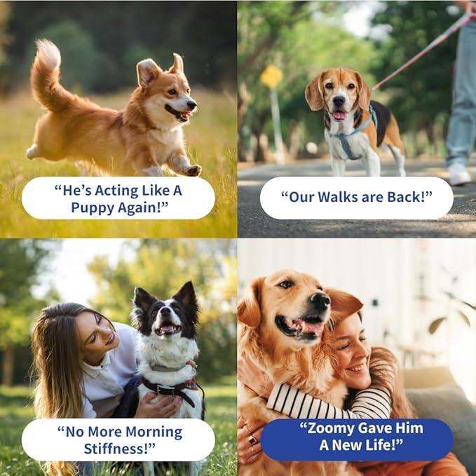 Dog Joint Supplement Powder with Glucosamine, Chondroitin & MSM – Hip & Joint Support for Mobility, Stiffness & Flexibility – Mushroom Blend with Lion’s Mane, Cordyceps & Reishi – Zoomy