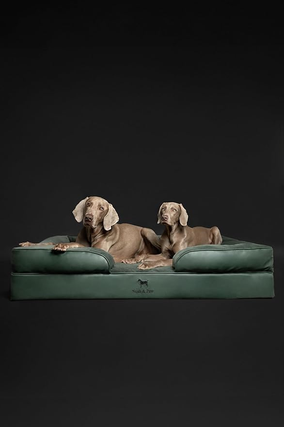 NOAH & PAW Giant Dog Bed XXL, 55x45x11 Inch, Orthopedic Dog Beds, Eggshell Memory Foam Infused with Cooling Gel, Inner Cover, Waterproof, Machine Washable (Faux Leather Sofa Collection)
